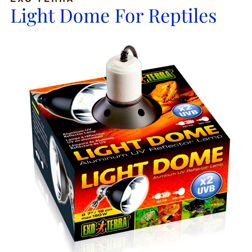 eco terra reptile light large new 7 inch